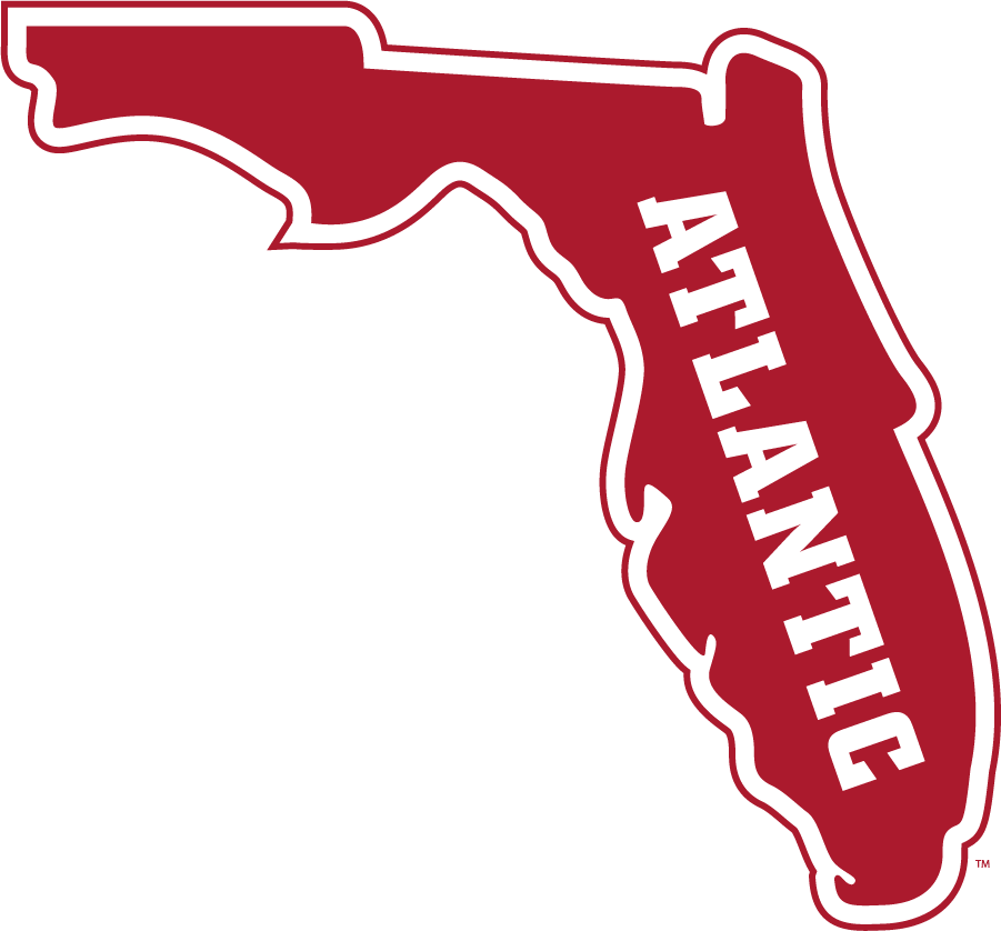Florida Atlantic Owls 2015-Pres Secondary Logo v2 diy iron on heat transfer